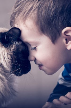 Conte thérapeutique pour enfants – Jérôme le petit garçon qui parlait aux animaux